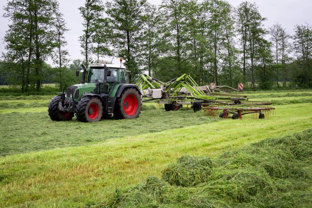 Traktor mit Grasschwader beim Zusammenziehen von gemähtem Gras