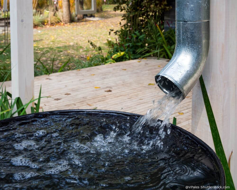 Regenwasser in Tonne sammeln