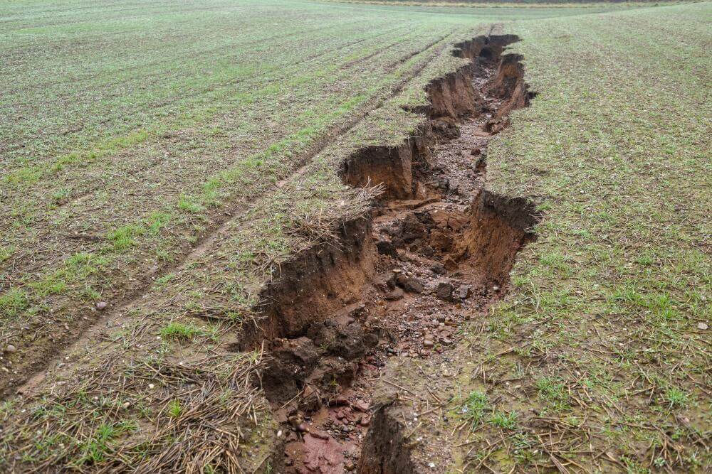 Bodenerosion im Getreidefeld