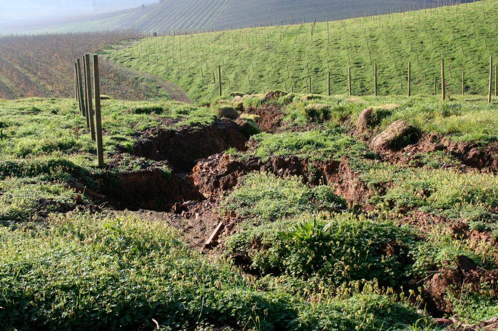 Nach Starkregen sinkt der ungeschützte  Boden ab