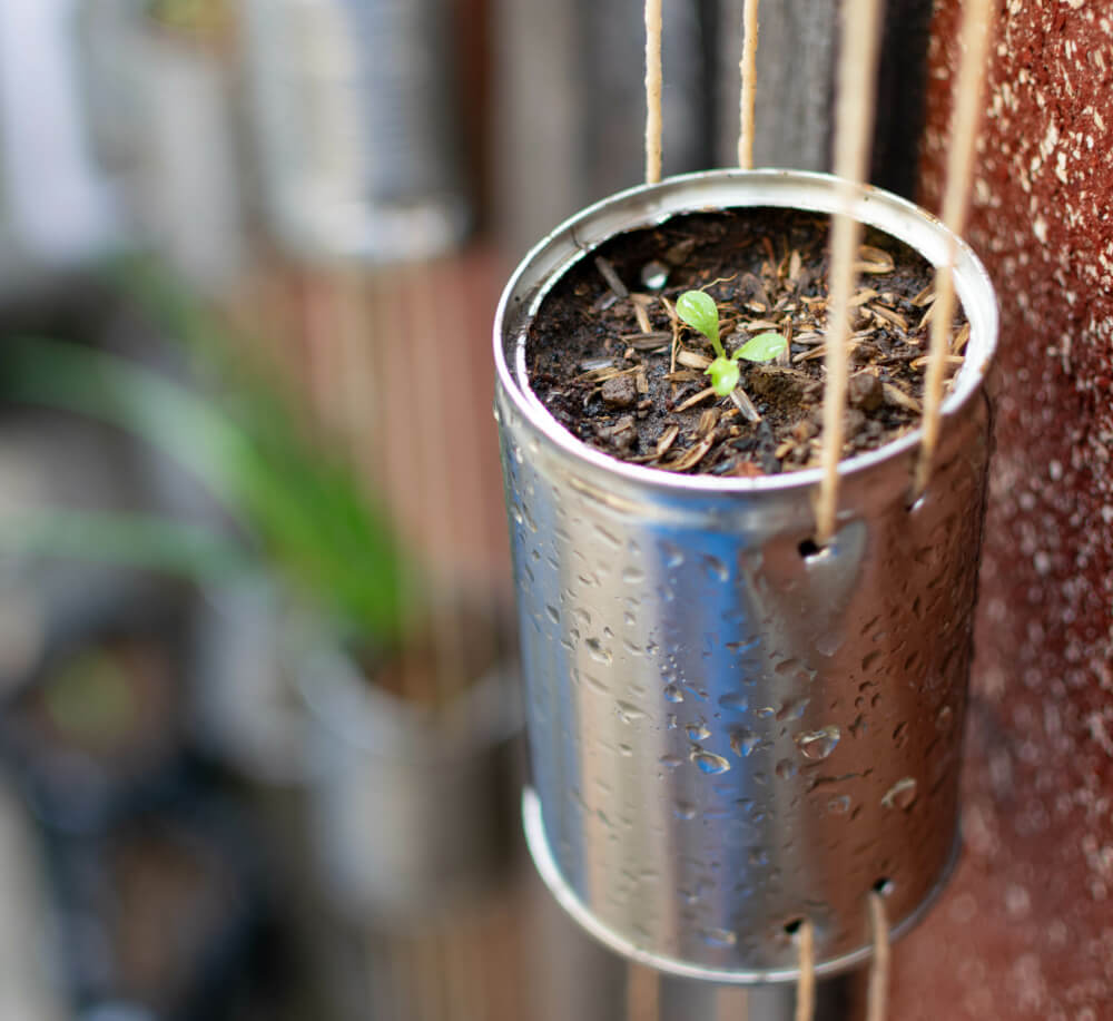 Alu-Dosen als vertikaler Garten 2