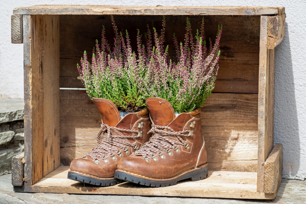 alte Wanderschuhe als Blumengefäß