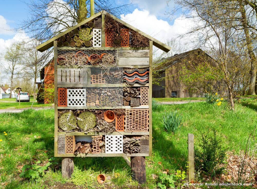 Mehrfamilienhaus für Insekten