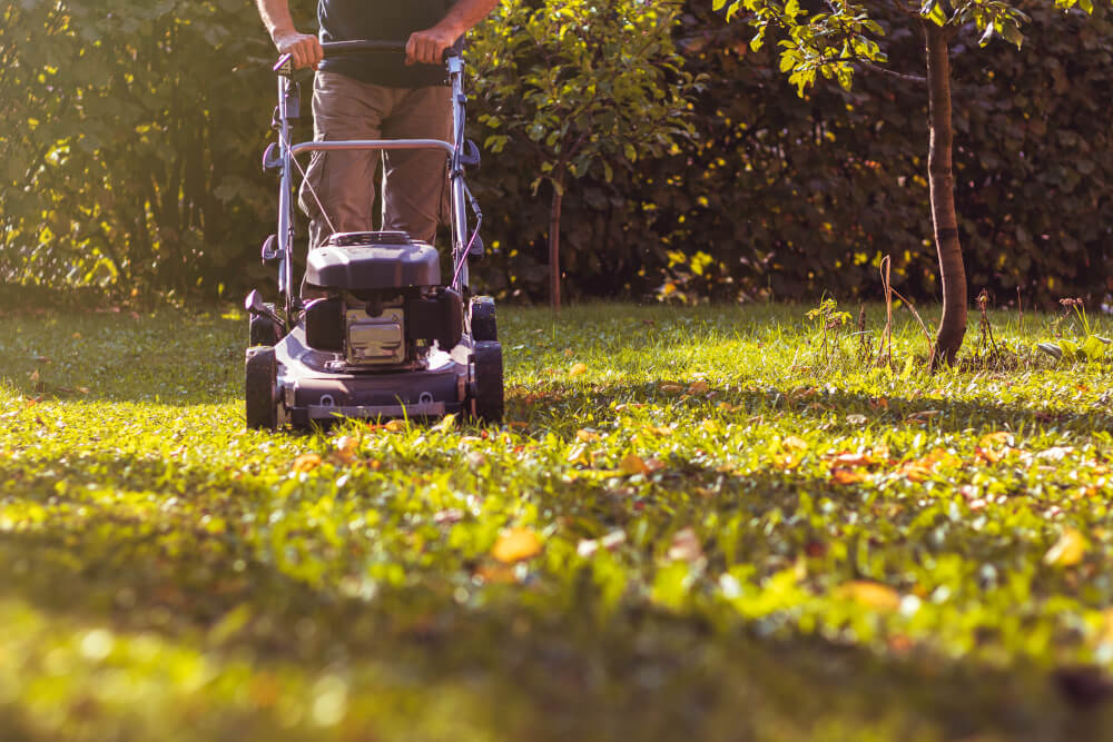 Vorbereitung Kaliumdüngung: Mähen