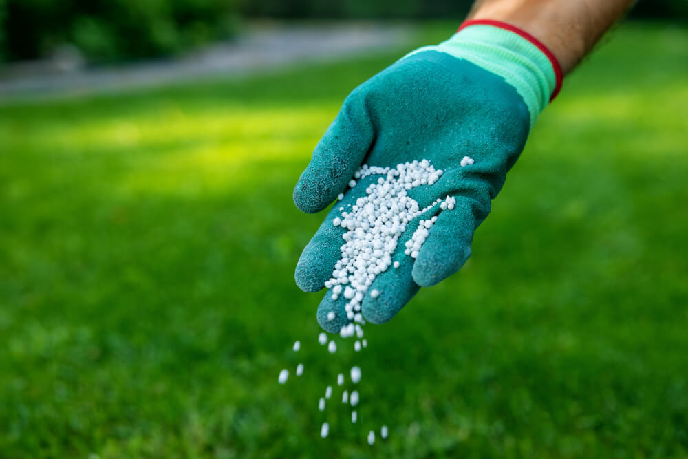 Mineralischer Kaliumdünger ist eine andere Variante