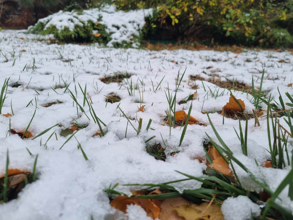 Schneebedeckte Rasenfläche
