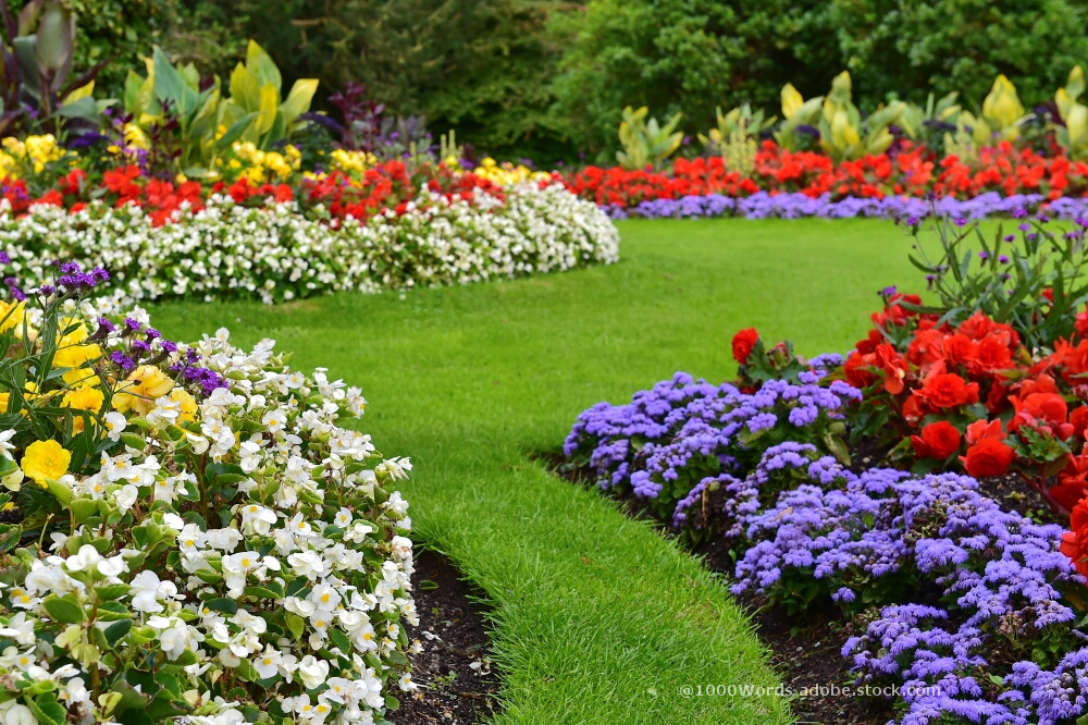 wunderschöner Garten