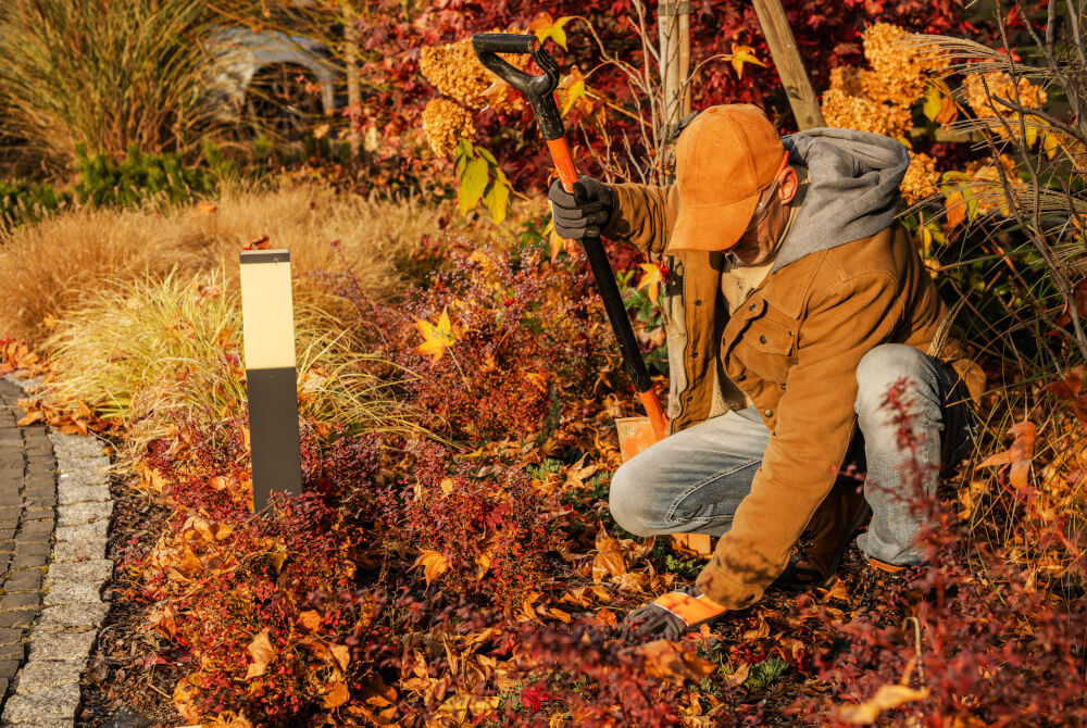 Laub sammeln lohnt sich