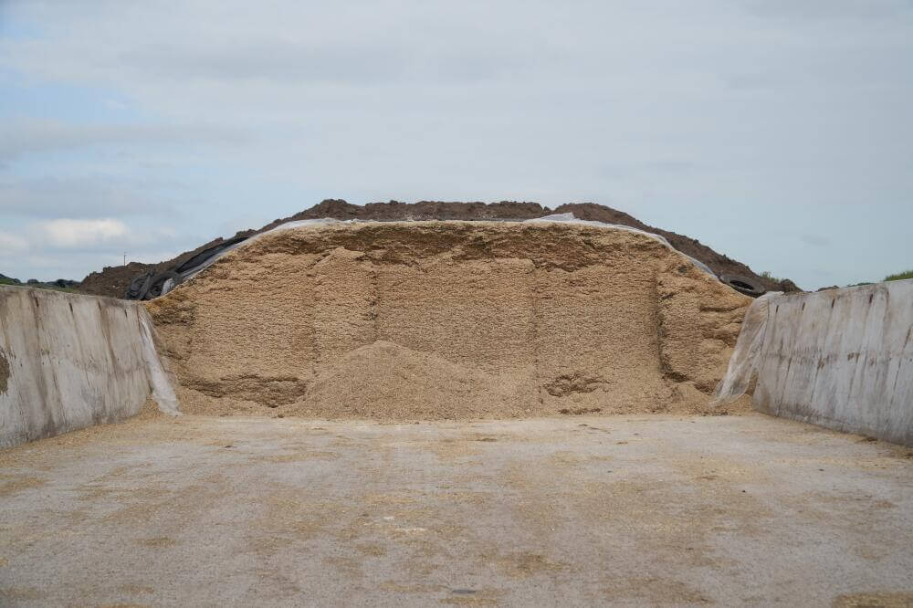 Geöffneter Silo mit Maissilage 