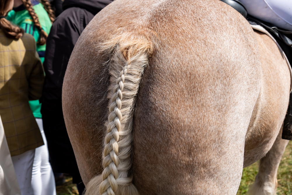 Haut und Fellpflegeprodukte fürs Pferd