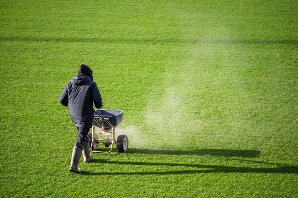 Fußballrasen wie die Profis