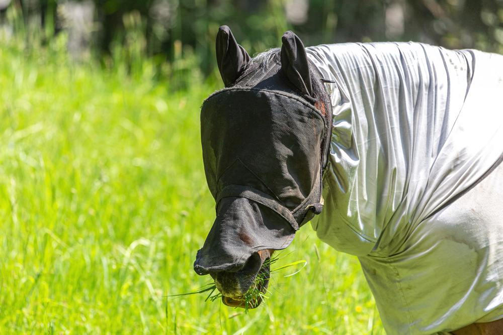 Equinatura Insektenschutz
