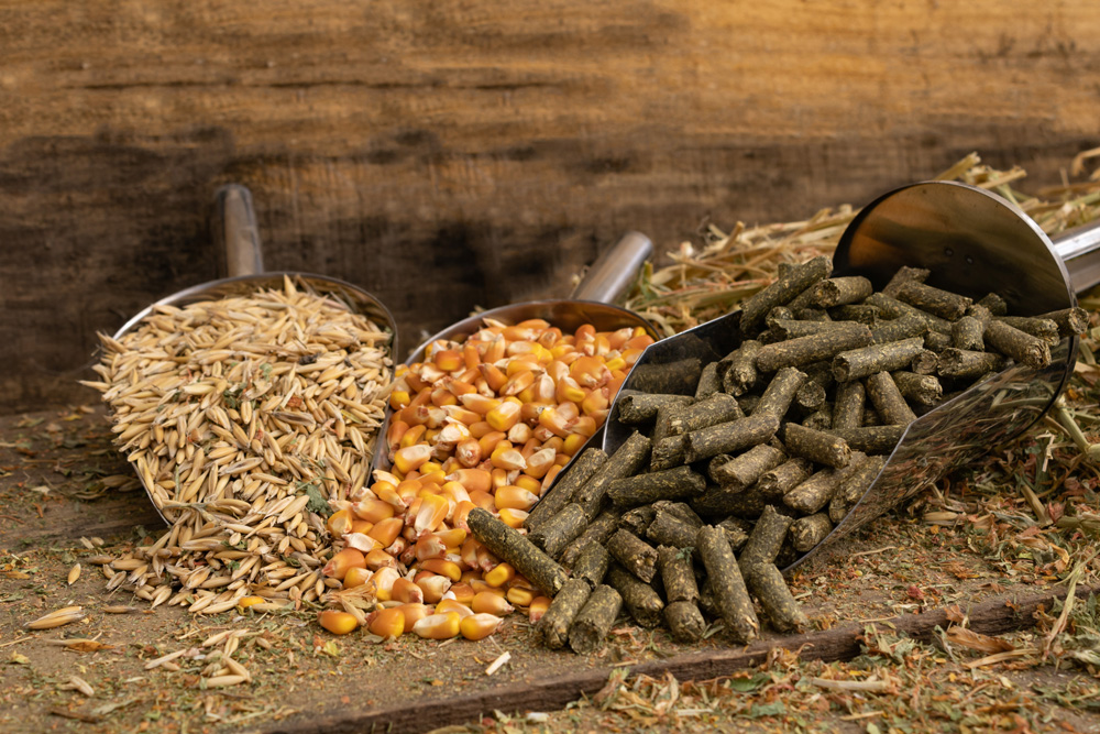 Pferdefutter online bestellen
