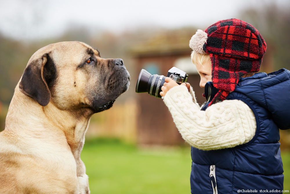 IHR FOTO AUF UNSERER SEITE