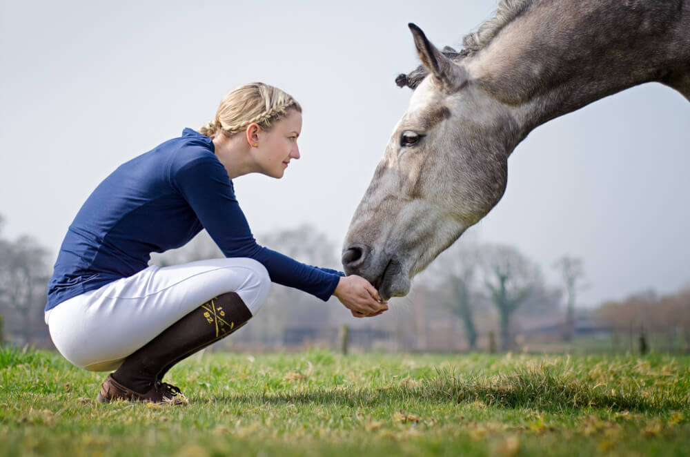 EquiFeed: Futtermittelanalyse für Pferde