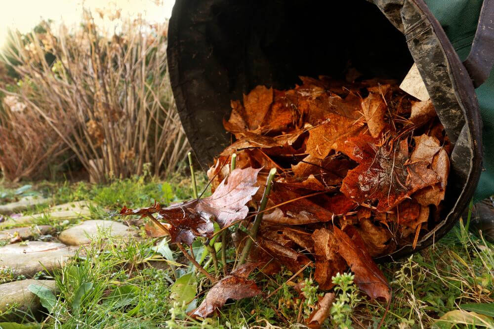 Gartengeräte sicher über den Winter bringen