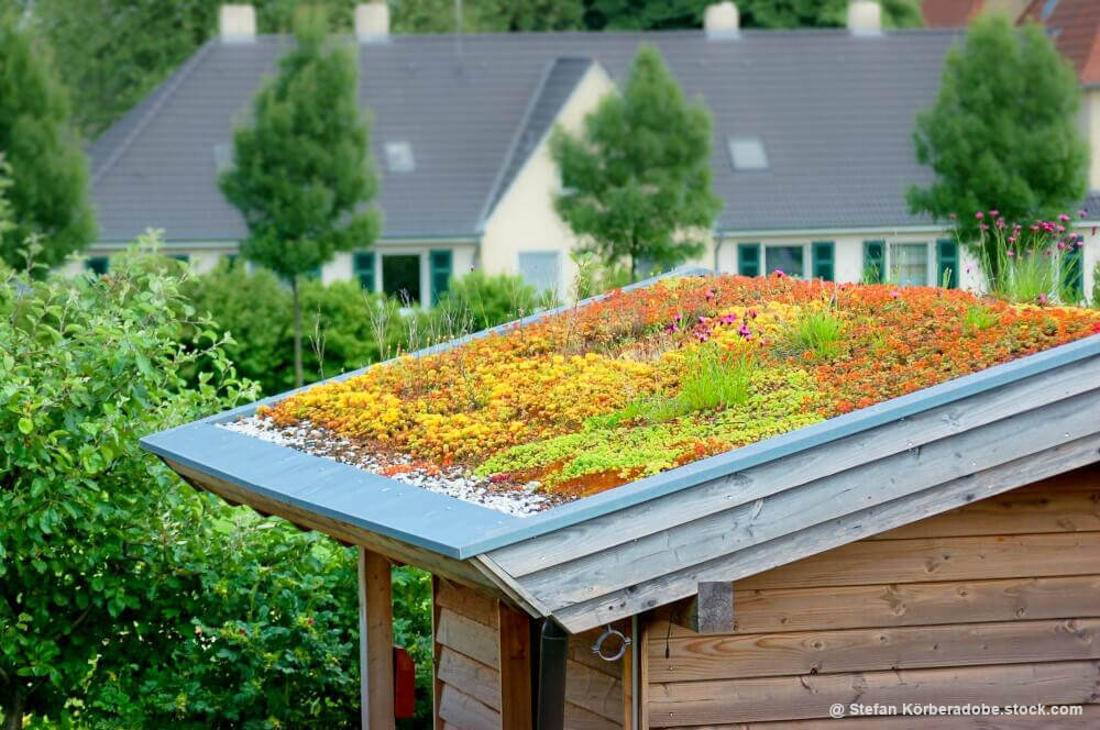 Grüne Lunge in der Stadt