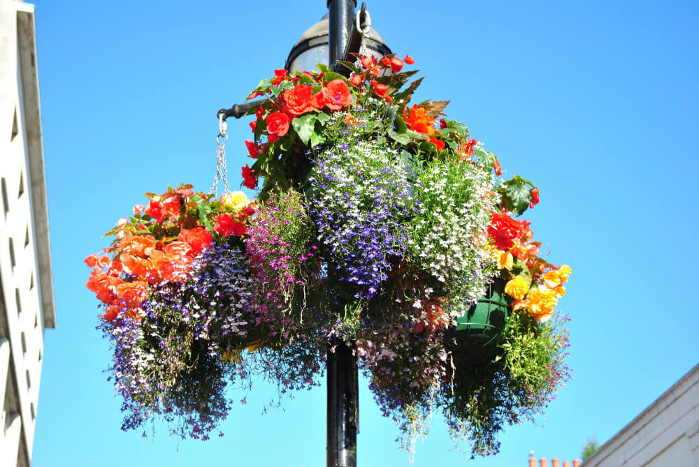 Hangings Baskets – Rundum-Blumenampeln aus England