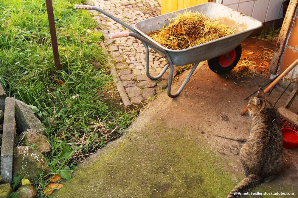 Kinder- und tierfreundlicher Garten