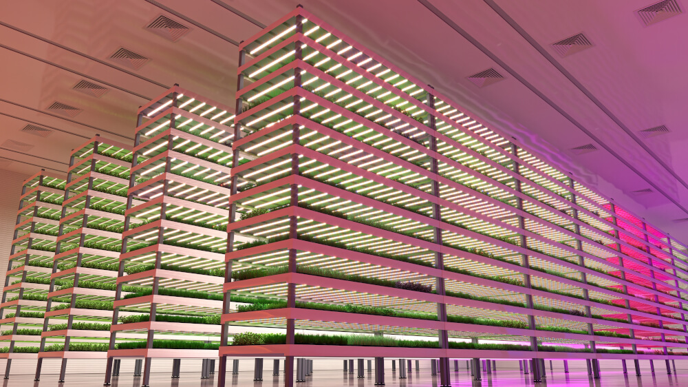 Landwirtschaft in der Senkrechten