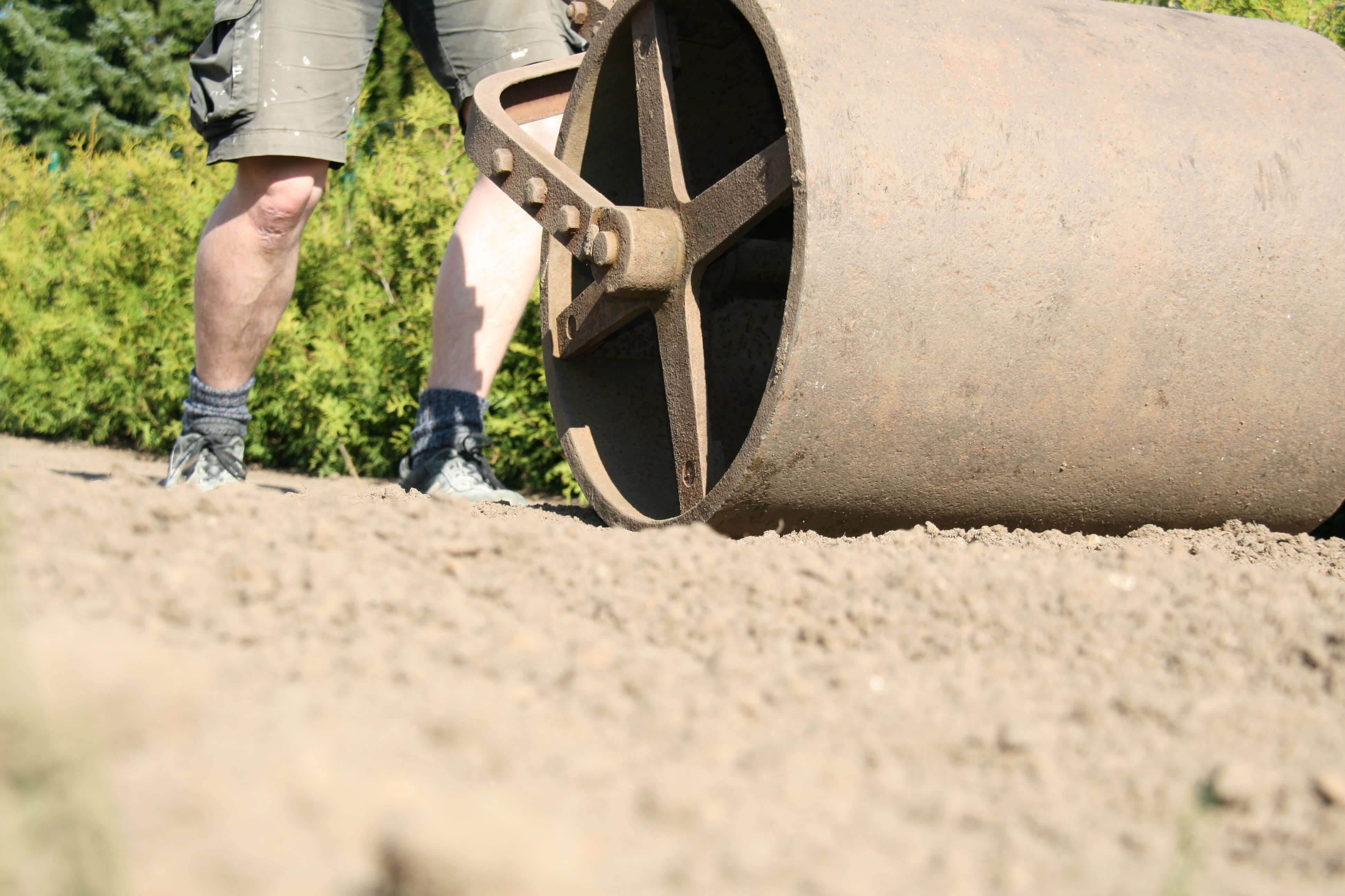 Die fünf häufigsten Fehler bei der Rasenaussaat