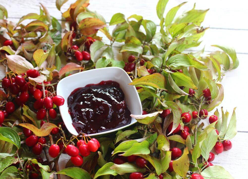 Ein Winterblüher - die Kornelkirsche