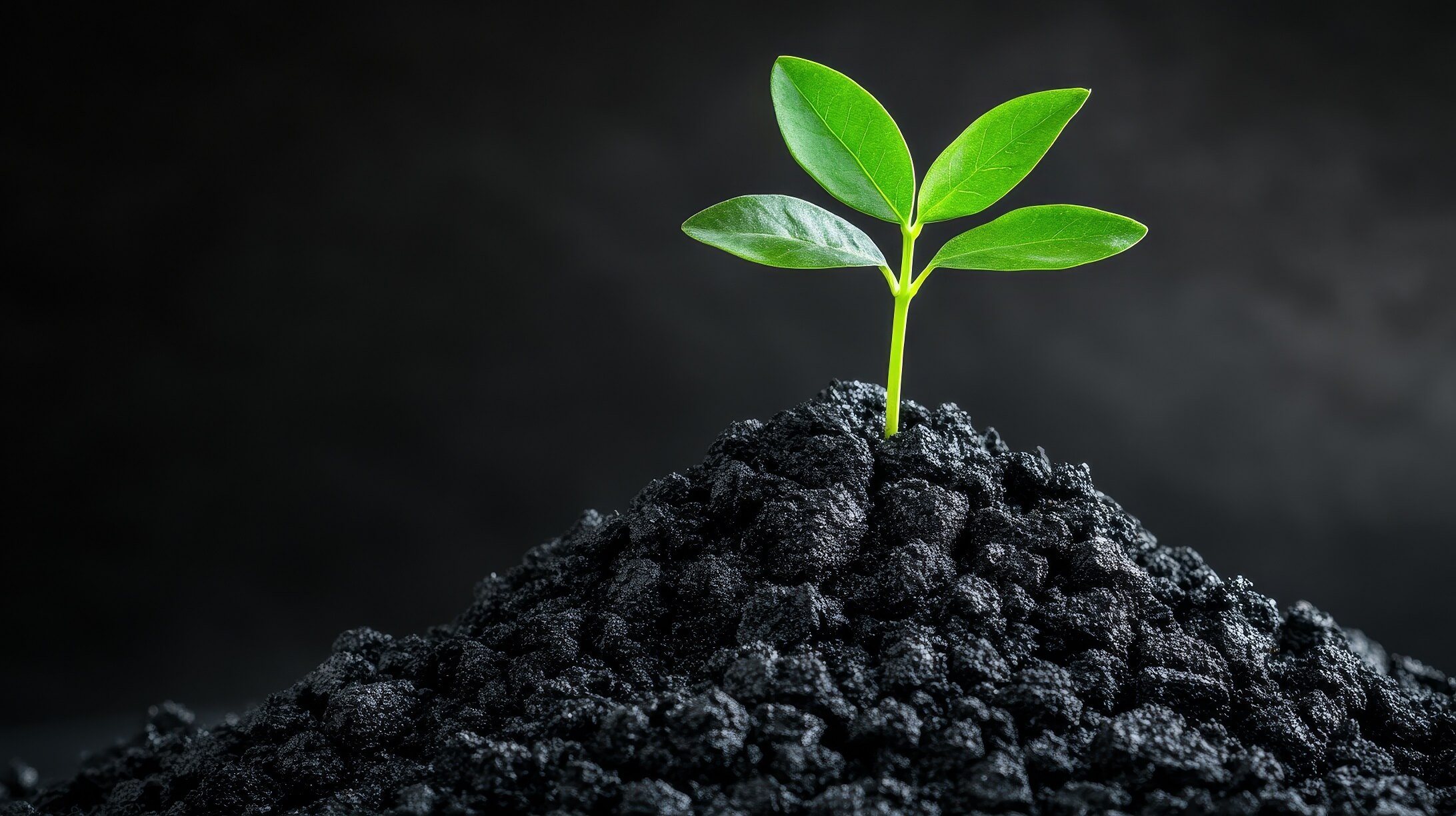 Bodenverbesserung - Agrarshop