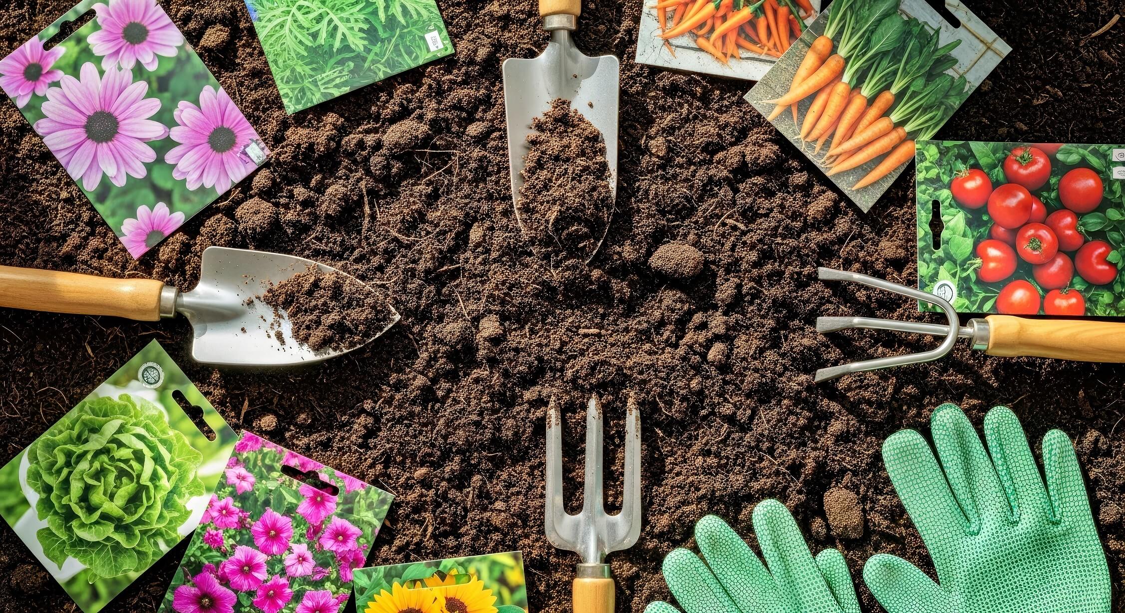 Saatgut und Sämereien für Ihren Garten