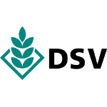 DSV