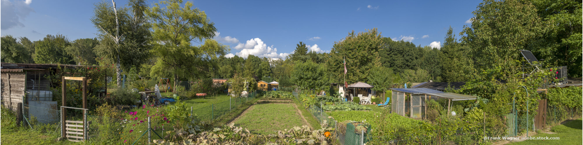 Urban Gardening