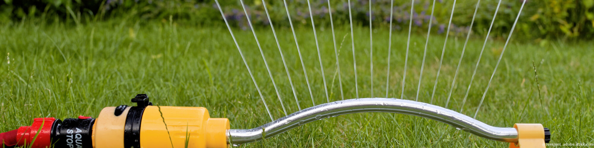 Gartenbewässerung im Sommer