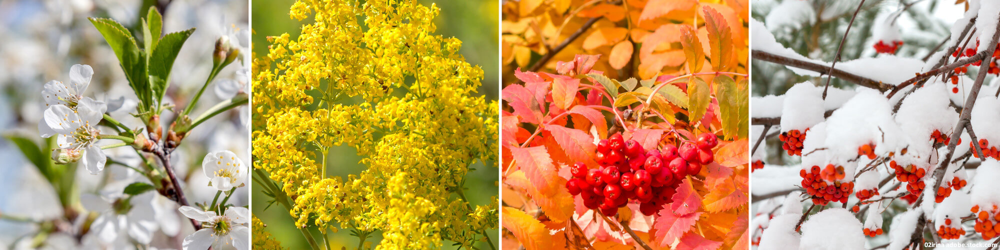 AgrarBlog - Gartenarbeit entlang der Jahreszeiten