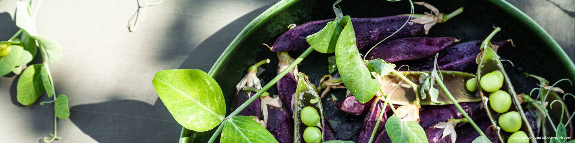 Seltene Gemüsesorten im Hochbeet (und Gartenbeet)