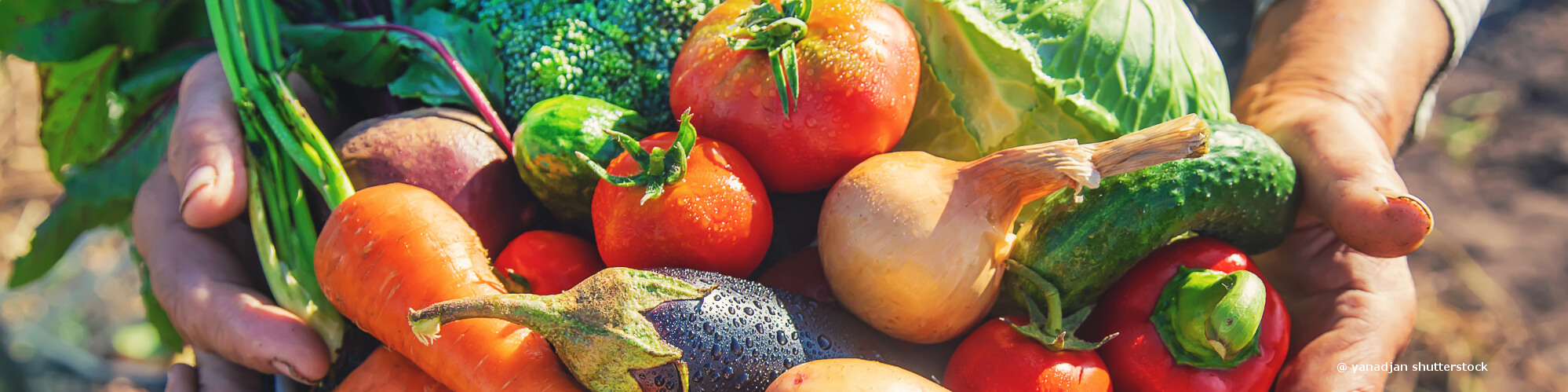 HACK engrais organique pour fruits et légumes
