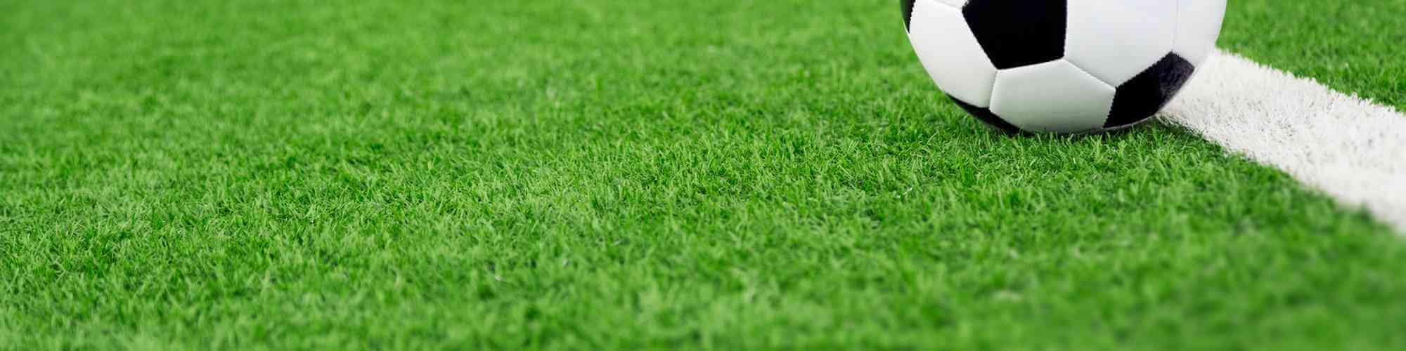 Ray-grass allemand CORSICA