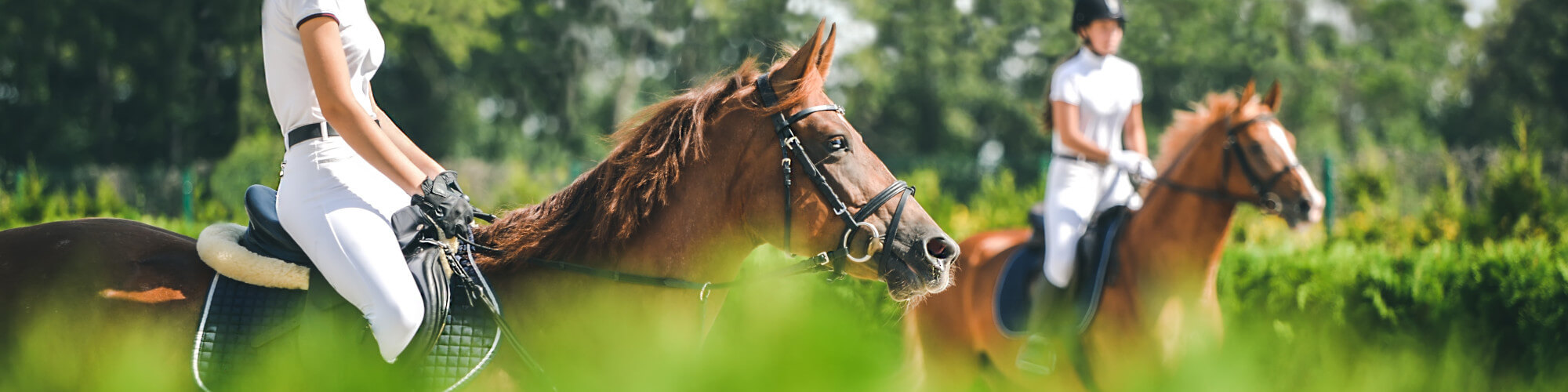 Hufpflegeprodukte für Pferde