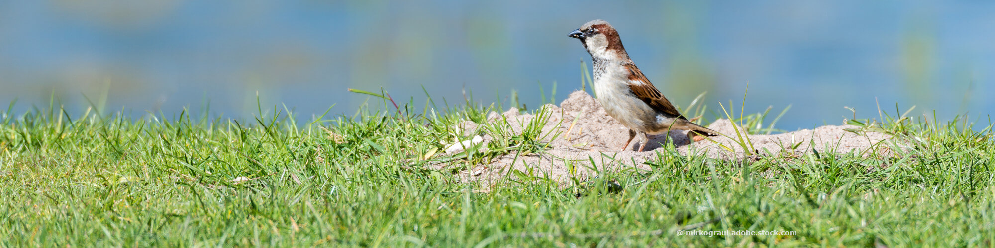 Vogelbedarf