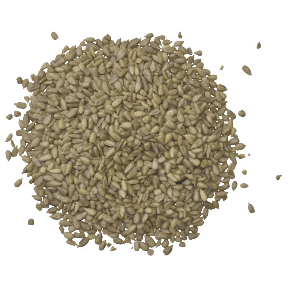 Agrarshop Sonnenblumenkerne geschält 20 kg Vogelfutter Ganzjahresfutter