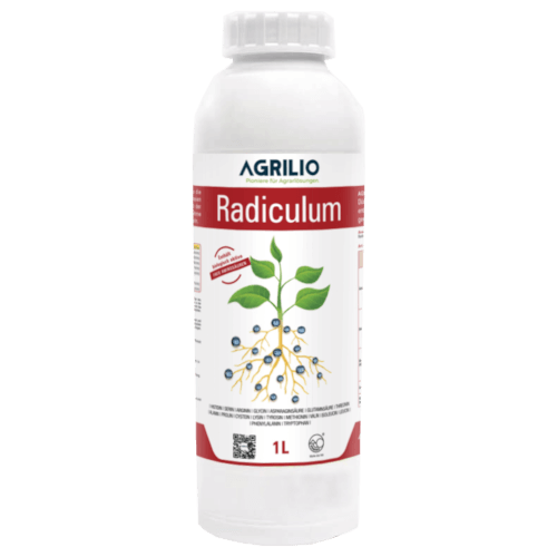 AGRILIO Radiculum