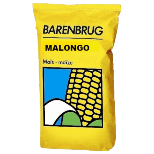BARENBRUG Mais MALONGO