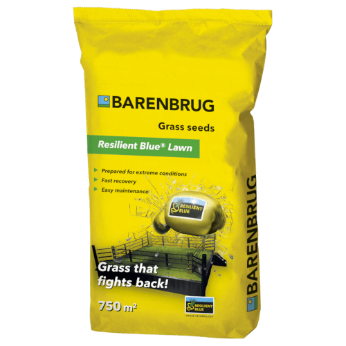 BARENBRUG Resilient Blue® Lawn