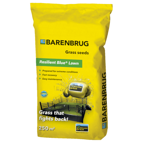 BARENBRUG Resilient Blue® Lawn