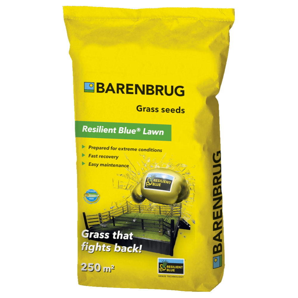 BARENBRUG Resilient Blue® Lawn