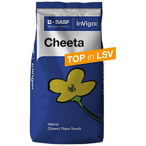 BASF® Winterraps Saatraps CHEETA