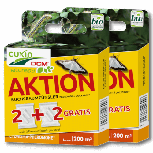 Cuxin DCM Naturapy Buchsbaumzünsler Pheromon 