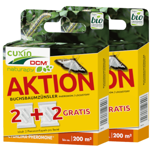 Cuxin DCM Naturapy Buchsbaumzünsler Pheromon 