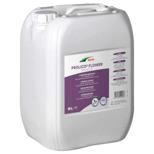 Cuxin DCM Prolico Flower