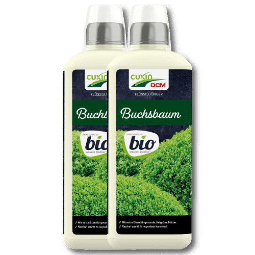 Cuxin Flüssigdünger für Buchsbäume Bio