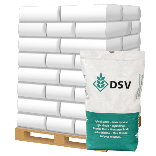 Dauerweide Standard G II mit Klee RHT