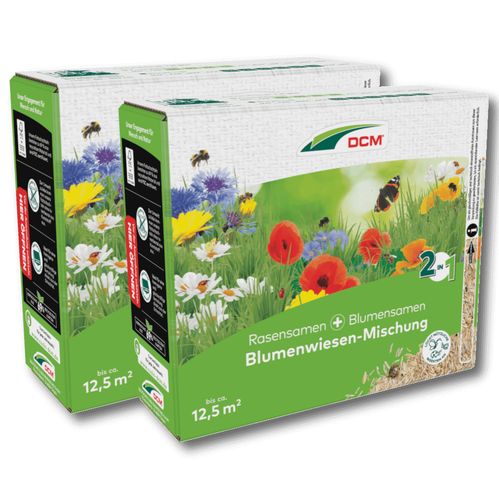DCM Blumenwiesen-Mischung